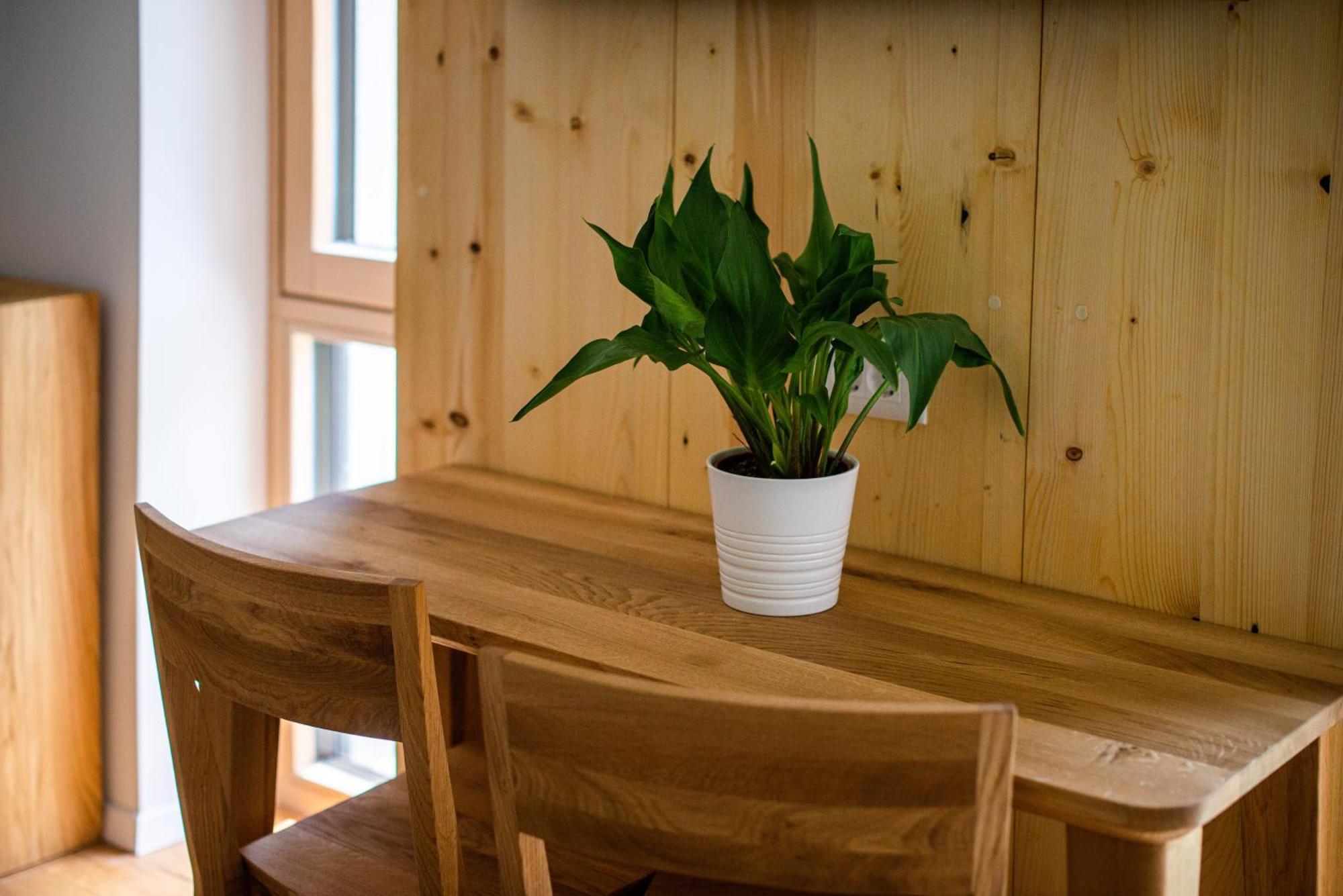 Lucka Bled Quiet Location, Free Bikes, Big Garden, Doctor Apartment Exterior foto